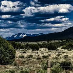 Darling (Single Version)