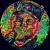 Artwork for Youth Club - Misunderstood (Zkeletonz #POSTPOP remix)