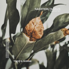 Tokio x Shrink | NachtEin.TagAus [Podcast 68]