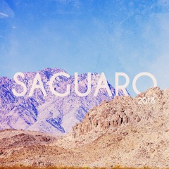 Saguaro Mix 2018