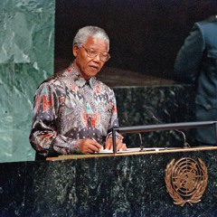 Nelson Mandela and the Struggle Against Apartheid (2010)