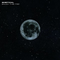 10. Skeptical - Orbit [Enjoy This Trip LP]