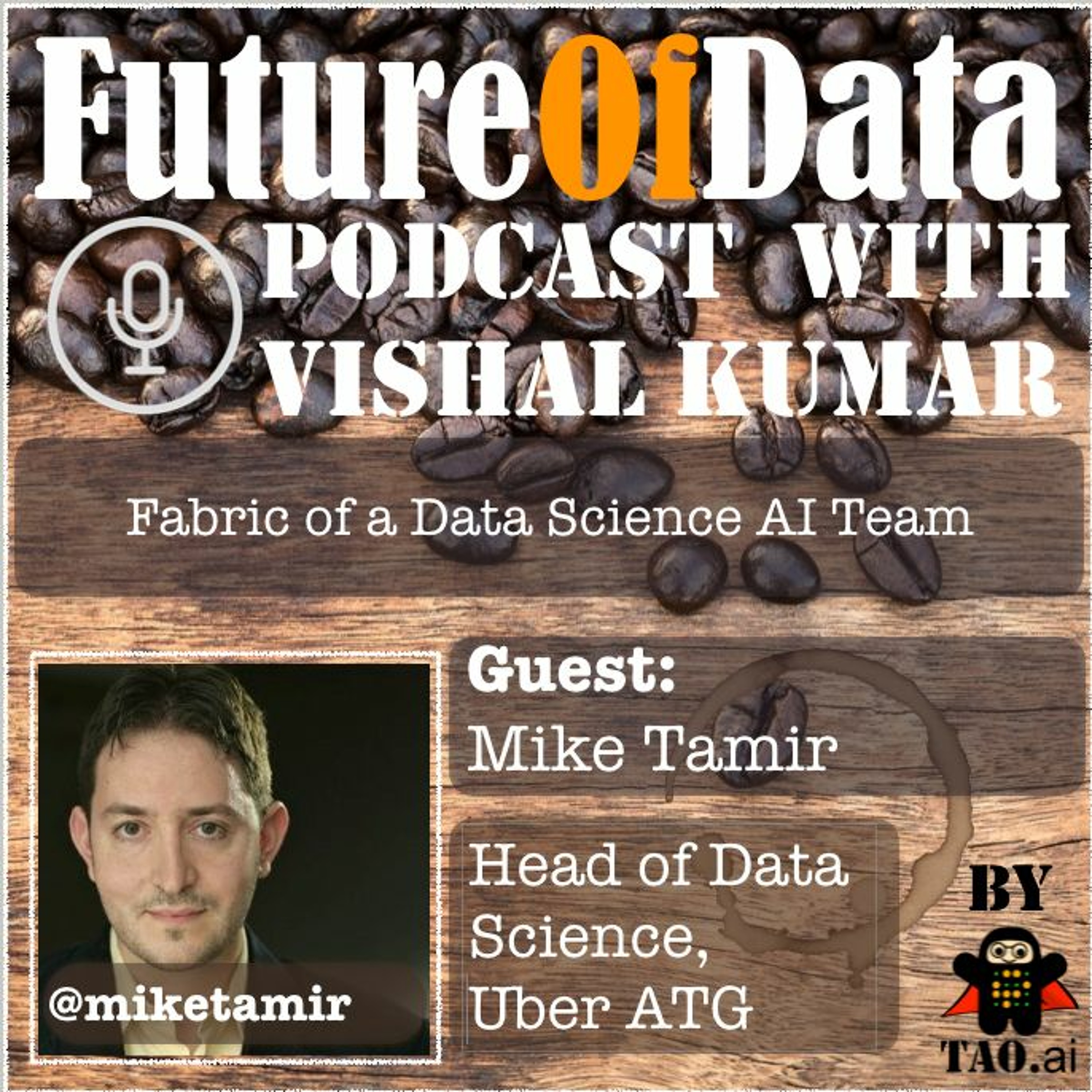 Mike Tamir talks about building Data Science AI Teams