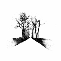 MNMT Premiere: AM - Shape IV