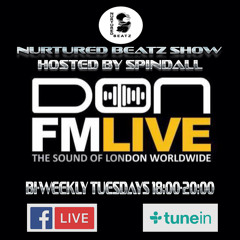 Spindall - Nurtured Beatz Show - Don FM Live - 19.06.2018