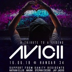 AVICII Tribute Set - 16.06.18