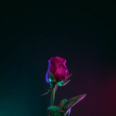 Migos X Malone (XE3 Remix)