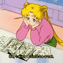 ａｒｕｂａ / ｊａｍａｉｃａ- これは何ですか？