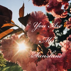 You Are My Sunshine - Johnny Cash (Cover)