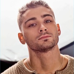 ZAYN - LIKE I WOULD (Troyboi Remix) - Slower Version