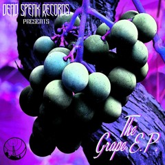 Lil Evol --- Feelings (The Grape E.P) mixed&mastered by Rob Camps