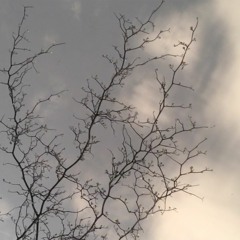 I stole 2 tomatoes you stole my heart