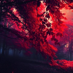 Life I Live - NBKDOC