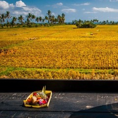 GAMELAN BALI RINDIK KECUBUNG SARI