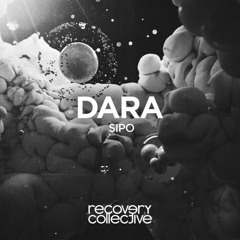 SiPo - Dara (original mix)