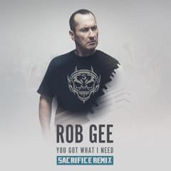 Rob Gee - You Got What I Need (DJ Sacrifice Remix)[GTM005D2]