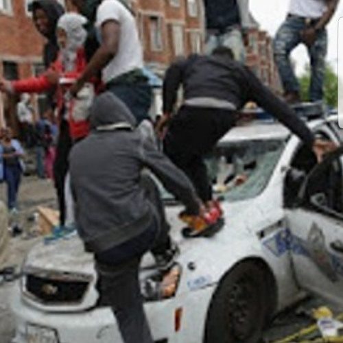 TALKIN&WALKING    AMG STEADY X CHUNKS