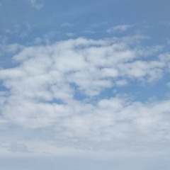 WRNG - Barz About My Flaws