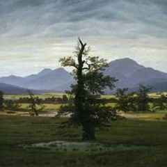 Sibelius: Romance for Violin Op.78 No.2