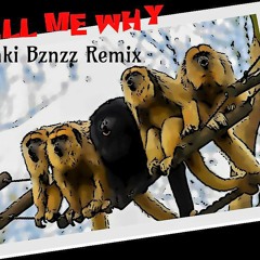 Mōnki Bznzz - Tell Me Why RMX