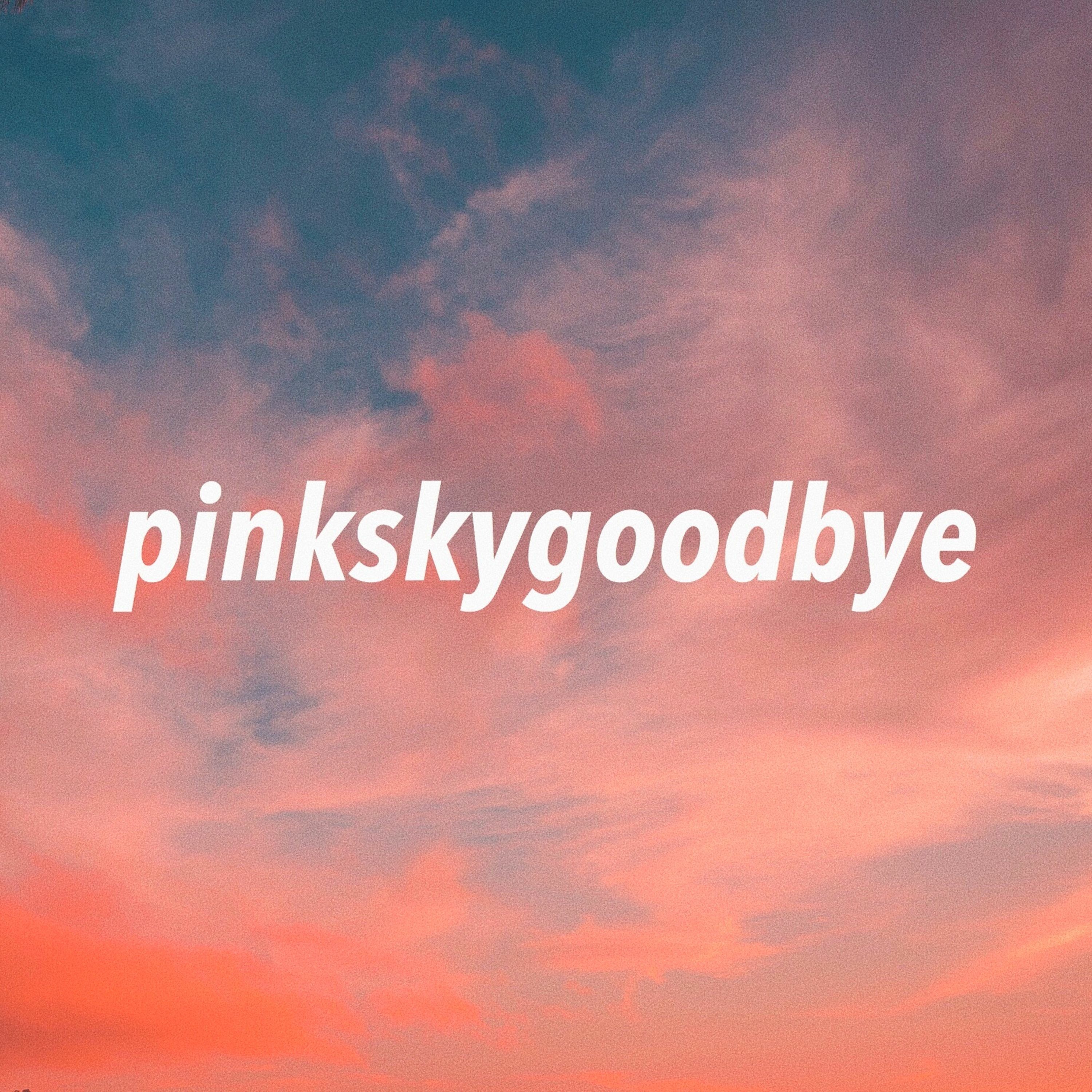 pinkskygoodbye episode artwork