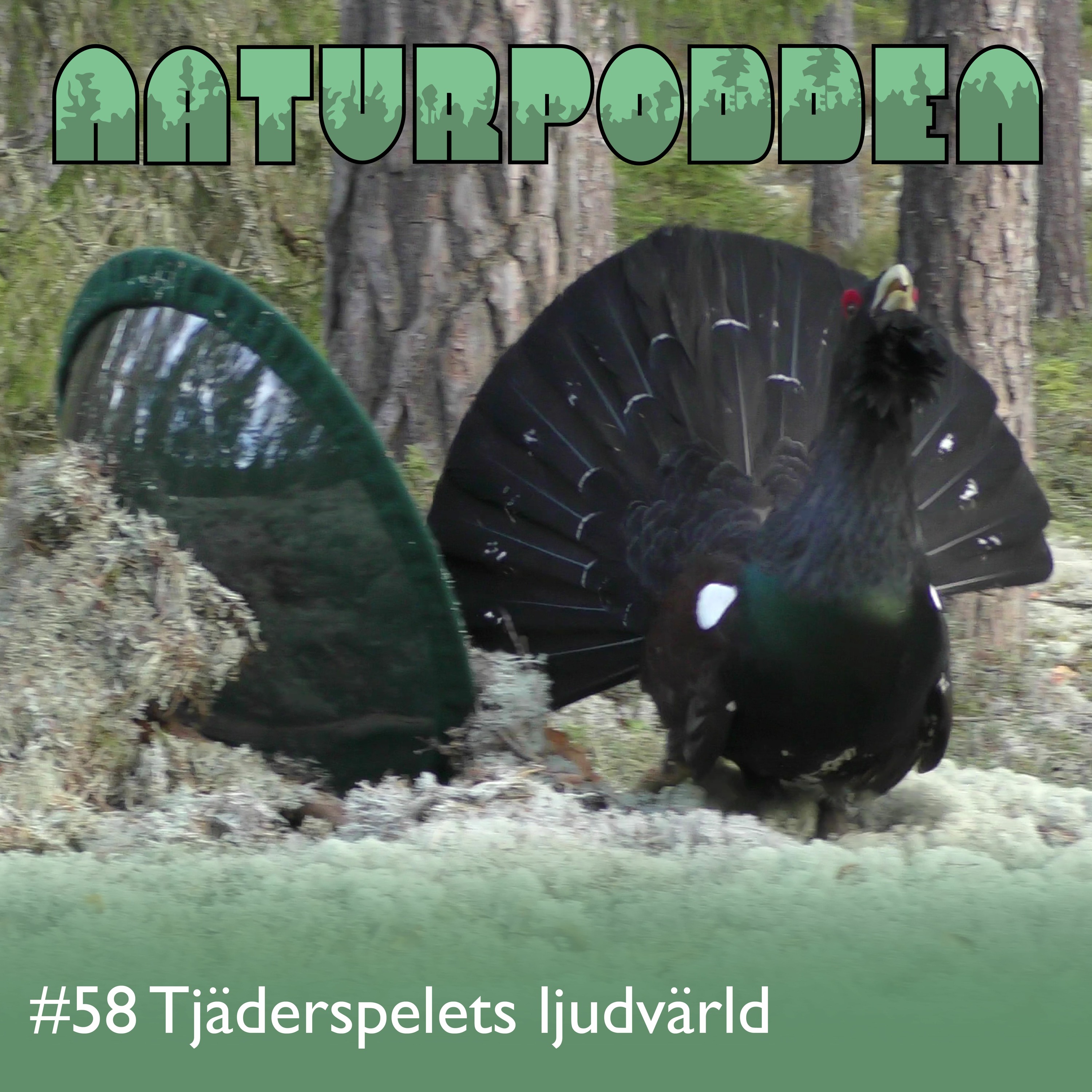 Naturpodden - Producerad av Biotopia