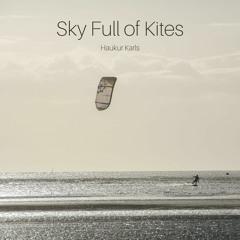 Sky Full Of Kites