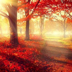 Gate To Investigate(Autumn Fall)_Looped