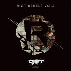 RIOT085 - Hellomonkey & Hiboo - Watch [Riot Recordings]