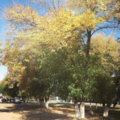 kak bi ne spit'sa - мне так спокойно с тобой