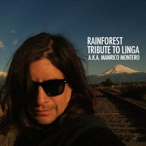 Rainforest - Linga ( Tribute to Manrico Montero )