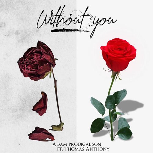 - Without You ft. Thomas Anthony
