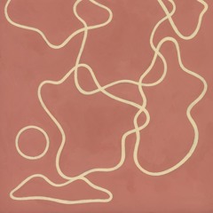 Silk Carapace