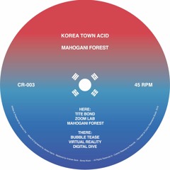 PREMIERE: Korea Town Acid - Virtual Reality [Cosmic Resonance]