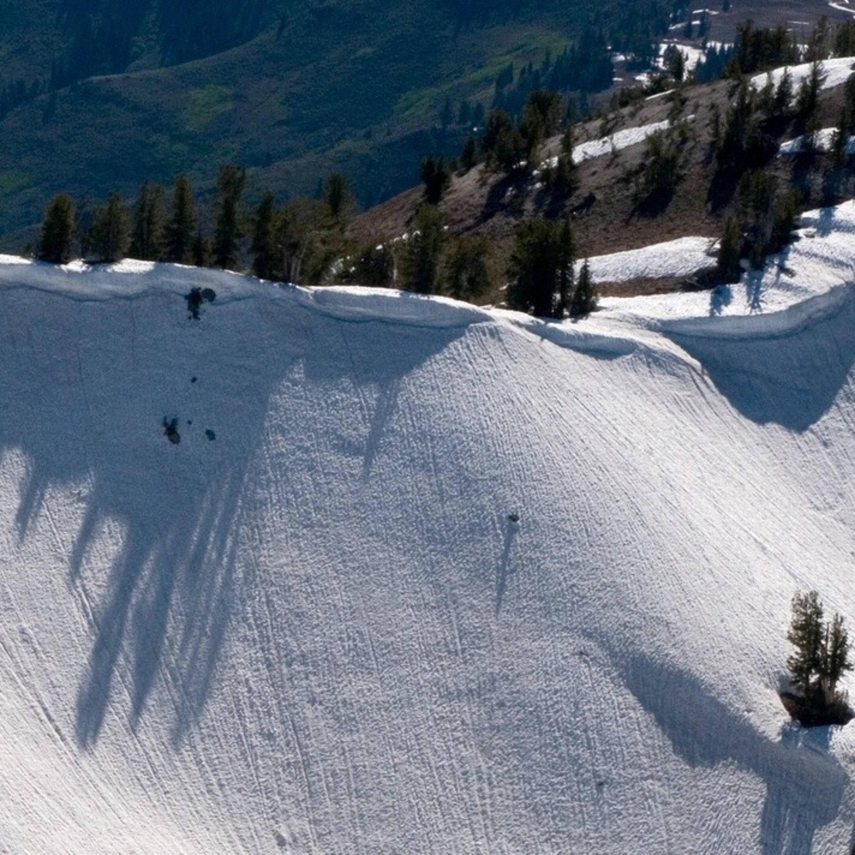Cliff Crego