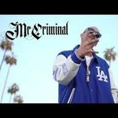 Mr  Criminal - El Chapo  Official Music Video