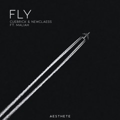 Cuebrick feat. Newclaess - FLY (Original Mix)*Supported by Martin Garrix, Hardwell, Steve Aoki*