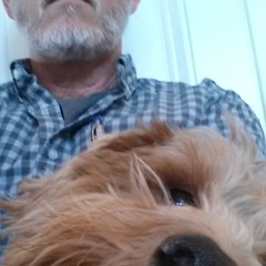 Your Baby's In the Dirt