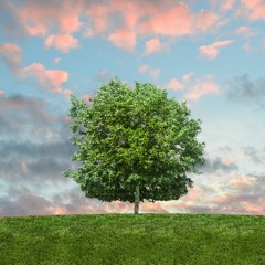 What is Life? (Prod. JoeMay)