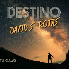 Destino'  David S Rojas