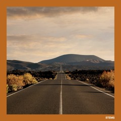 Soul Surplus - Roady Sample Pack Vol. 2