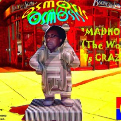 Madhouse (The World Is Crazy) -single