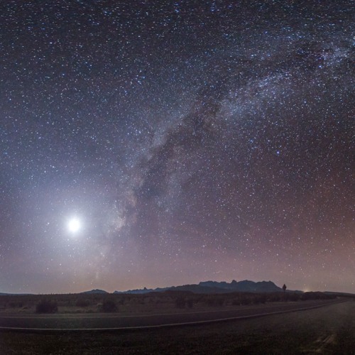 Vijay van der Weijden - Questions