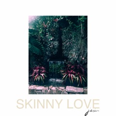 Skinny Love (COVER)
