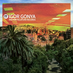 Igor Gonya - Mix For Fieldfunk Records