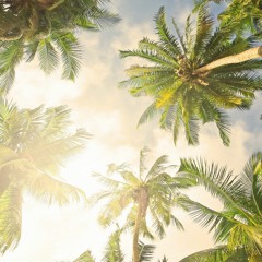 89.300 NU G - FUNK MOOG R9 L MOTIF XF (200)