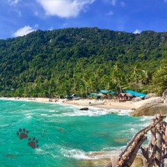 KAT @ EDEN Garden Koh Phangan 16.06.18