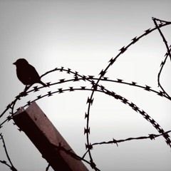 BUK - No Borders