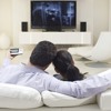Free Online Latest Movies Mp3