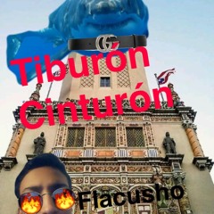 TIBURON CINTURON